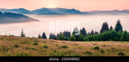 Nebbia panorama mattutino della valle di montagna. Pochi minuti prima dell'alba in Carpazi montagne, località Rika villaggio, Transcarpazi, Ucraina, Europa Foto Stock
