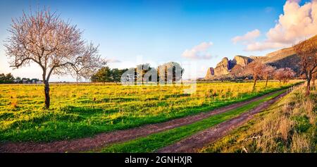 Colorata scena serale di giardino di mandorle in fiore sul capo San Vito. Vista panoramica primaverile del parco naturale del Monte Cofano in Sicilia, Italia, Europa. Sia Foto Stock