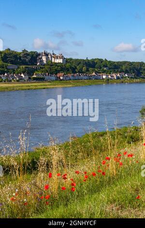 Blois è un comune e la città capitale del dipartimento Loir-et-Cher nel Centro-Val de Loire, Francia, situato sulle rive del basso fiume Loira betw Foto Stock