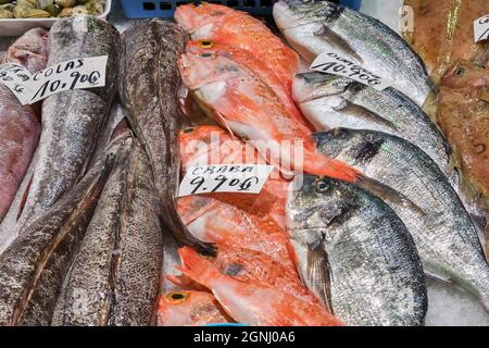 Pesce fresco in vendita sul mercato di Barcellona Foto Stock