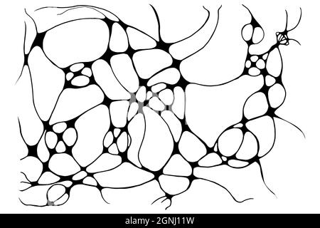 Illustrazione vettoriale dello schizzo di linee neurografiche. Astratto caotico sfondo di curve ondulate. Neuroart monocromatico disegnato a mano. Disegno cerebrale destro. C Illustrazione Vettoriale