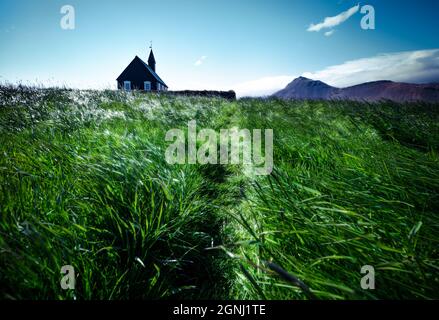 Chiesa di Budakirkja in legno nero a Saefellsnes. Splendida mattinata estiva con campo di erba verde fresca sulla penisola di Snafellsnes, Islanda occidentale, Euro Foto Stock