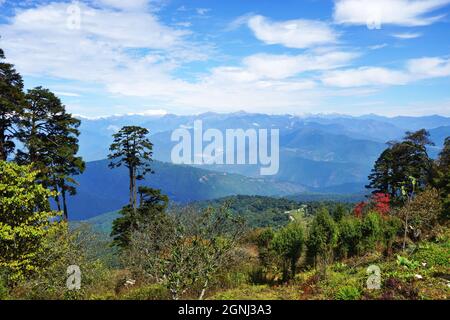 Vista panoramica dei Monti Himalaya dal Passo Dochula del Bhutan, sulla strada da Thimphu a Punakha. Altitudine: 3,100 metri (10,200 piedi). Foto Stock