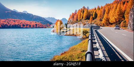 Strada asfaltata sulla riva del lago di Sils. Vista panoramica mattutina delle Alpi svizzere. Colorata scena autunnale di Svizzera, Europa. Concetto di viaggio backgrou Foto Stock
