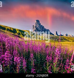 Incantevole vista mattutina della vetta Ra Gusela, Averau - gruppo Nuvolau dal Passo di Giau. Splendida scena estiva delle Alpi Dolomiti, Cortina d'Ampezzo locatio Foto Stock