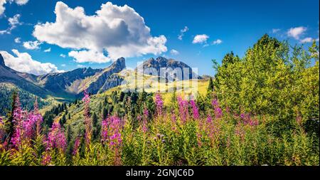 Scena verde mattutina della vetta Ra Gusela, Averau - gruppo Nuvolau dal Passo di Giau. Soleggiata vista estiva sulle Alpi Dolomiti, posizione Cortina d'Ampezzo, Sout Foto Stock