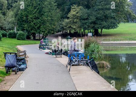 Northampton. REGNO UNITO. 26 settembre 2021. Abington Park. L'ultimo fine settimana di gara di pesca della stagione per Abington Fishing Club che ha avuto inizio alle 0900, con i soci in tutto il lago del parco. Credit: Keith J Smith./Alamy Live News. Foto Stock