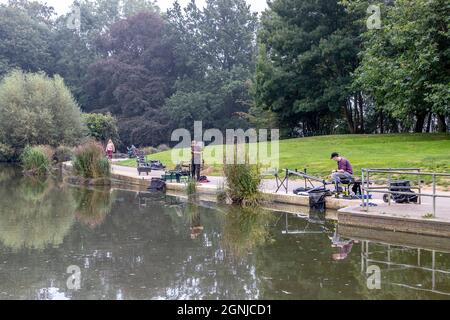 Northampton. REGNO UNITO. 26 settembre 2021. Abington Park. L'ultimo fine settimana di gara di pesca della stagione per Abington Fishing Club che ha avuto inizio alle 0900, con i soci in tutto il lago del parco. Credit: Keith J Smith./Alamy Live News. Foto Stock