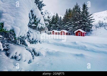 Tradizionali case di legno rosso norvegese sotto la neve fresca. Incredibile scena invernale delle isole Lofoten sulla riva del fiordo di Kongsjordpolline, Vest Foto Stock