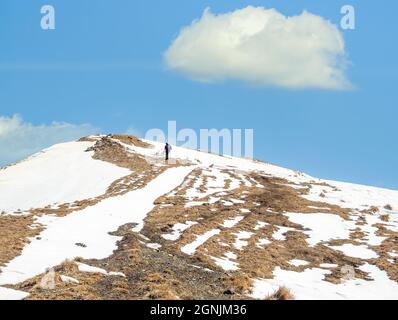 Escursionista solitario a piedi sulla montagna innevata. Paesaggio invernale nei Monti Carpazi, Romania Foto Stock