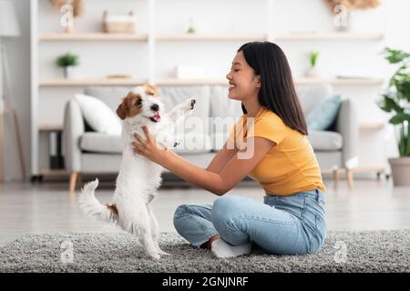 Vista laterale di donna asiatica che tiene jack russel terrier cane Foto Stock