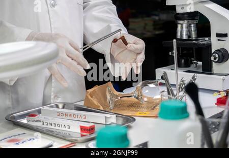 L'esperto di polizia ottiene il campione di sangue da una tazza di vetro rotta in Criminalalistic Lab, immagine concettuale Foto Stock