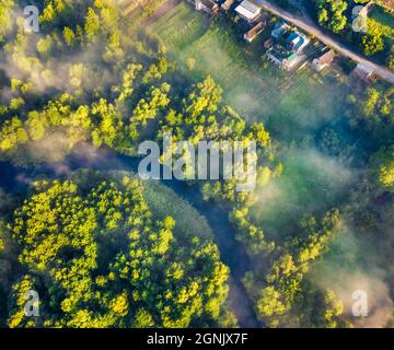 Fotografia aerea del paesaggio. Vista in basso dal drone volante del piccolo fiume sulla foresta di nebbia. Splendida scena estiva della valle nebbiosa con gre Foto Stock