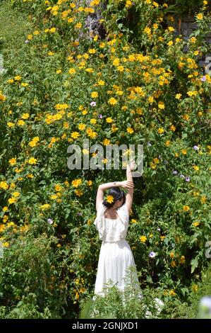 Donna in maxi abito cremoso, in piedi nel giardino di Tithonia diversfolia, girasole messicano Foto Stock