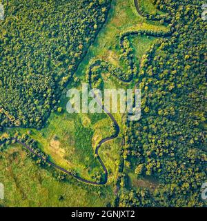 Vista dell'alba dal drone volante del fiume Seret, regione di Ternopil, Ucraina, Europa. Affascinante scena estiva della verde valle allagata. Bellezza del nat Foto Stock