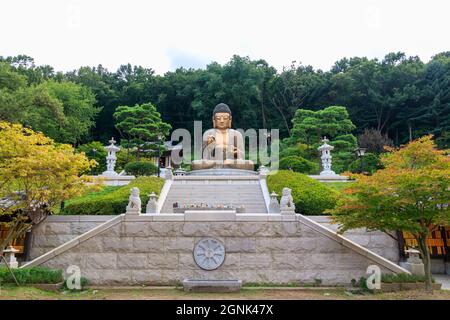 Paju, Gyeonggi-do, Repubblica di Corea - 13 agosto 2021. Tempio tradizionale coreano. Tempio yakcheonsa. Buddismo coreano. Foto Stock