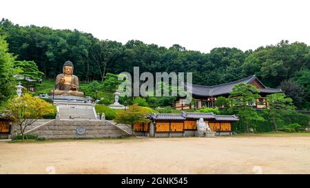 Paju, Gyeonggi-do, Repubblica di Corea - 13 agosto 2021. Tempio tradizionale coreano. Tempio yakcheonsa. Buddismo coreano. Foto Stock