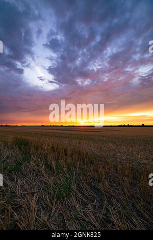 Il sole tramonta su un campo di stoppia di grano Foto Stock