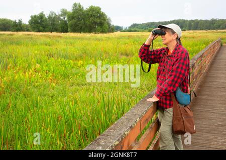 Birdwatching lungo Kiwa Trail, Ridgefield National Wildlife Refuge, Washington Foto Stock