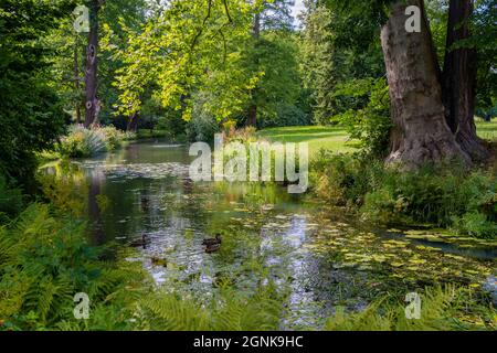 Bad Muskau an der polnischen Grenze, mit einem herrlichen Park und Schluss vom Fürst Pückler / confine con la Polonia, Fürst Pückler Parco con il castello Foto Stock