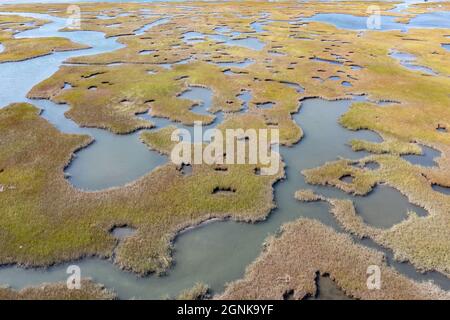 I canali stretti si snodano attraverso una palude di sale in Pleasant Bay, Cape Cod, Massachusetts. Questo habitat delle zone umide è un luogo di alimentazione vitale per la fauna selvatica. Foto Stock