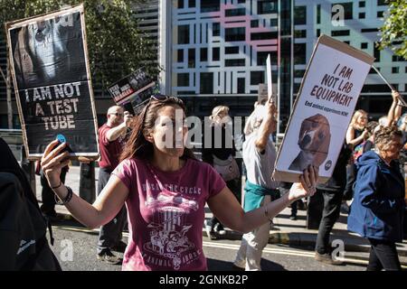 Londra, Regno Unito. 24 settembre 2021. Attivisti per i diritti degli animali che chiedono la chiusura di un sito a Huntingdon che rompe le aquile per la protesta della ricerca sugli animali al di fuori dell'ufficio domestico. Gli attivisti, che si trovano in un campo vicino al sito di MBR Acres, hanno protestato al di fuori del Home Office per chiedere una revisione immediata di tutti gli animali e vivisezione e una moratoria sull'uso dei cani nella ricerca. Credit: Mark Kerrison/Alamy Live News Foto Stock