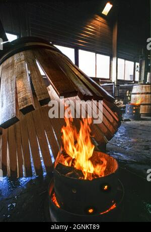 Produzione di botti di vino produzione e produzione di fuochi presso la cooperativa Louis Jadot / Cadus il calore generato dal fuoco consente di piegare le stave in botte inumidite in forma. Ladoix-Serrigny, Côte d'Or, Francia Foto Stock