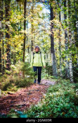 Donna di mezza età godendo di una passeggiata nella foresta una bella giornata in autunno Foto Stock