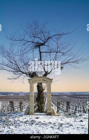 Inverno neve Borgogna con arco in pietra nel vigneto Clos des Ormes, Vosne-Romanée, Côte d'Or, Francia. [Côte de Nuits] Clos des Ormes è un prestigioso climat Morey-Saint-Denis Premier Cru, situato sulla collina sotto il vigneto Clos de la Roche Grand Cru nella parte settentrionale del comune. Il vigneto è piantato interamente a Pinot Nero, Foto Stock