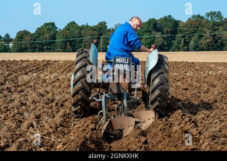 Waltham St Lawrence, Regno Unito. 26 settembre 2021. È stata una bella giornata di sole, con i trattori moderni e vintage che si sono scontrati con la Royal East Berkshire Agricultural Association, partita annuale di aratura presso Church Farm. C'era un fondo che sollevava l'asta di scatole di ortaggi e frutta coltivati da agricoltori locali. Gli ospiti hanno goduto di uno spettacolo di cani, falconeria e di una giornata al sole d'autunno. Credit: Maureen McLean/Alamy Live News Foto Stock