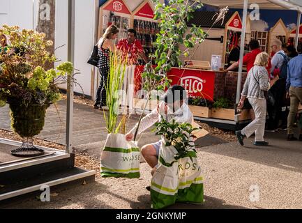 Londra, Regno Unito. 26 settembre 2021. L'ultimo giorno al RHS Chelsea Flower Show sotto il sole glorioso con i visitatori in cerca di occasioni come espositori offrono sconti prima della fine dello spettacolo. Credit: ernesto rogata/Alamy Live News Foto Stock