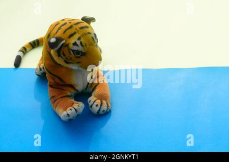 Royal Bengala Tiger morbido peluche con borchie orsacchiotto peluche per bambini su sfondo colorato. Vista ad angolo alto. Spazio di copia per il testo. Foto Stock