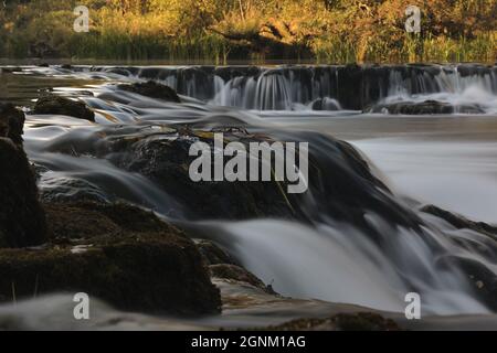 Cascate sul fiume Dobra in Croazia. Foto Stock