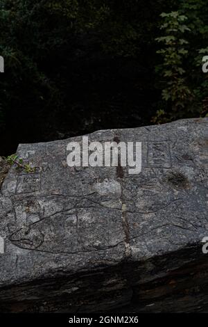 Antica pietra scolpita con incisioni rupestri e iscrizioni nel bosco gallese Foto Stock