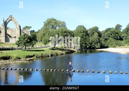 20 settembre 2021: Una donna cammina sulle pietre a passo attraverso il fiume Wharfe, con le rovine del Priorato di Bolton sullo sfondo Foto Stock