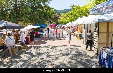 Fulford Harbour Saltspring Island BC , Canada - 10 luglio 2021: Gli amanti dello shopping possono cercare merci presso il popolare mercato agricolo del sabato presso il porto di Fulford Foto Stock