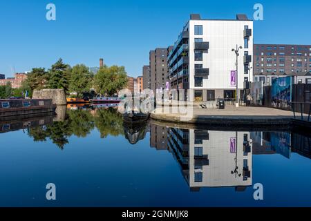 Il Mansion House e Cotton Field Wharf blocchi di appartamenti riflette nel Cotton Field Park marina, New Islington, Ancoats, Manchester, Inghilterra, REGNO UNITO Foto Stock