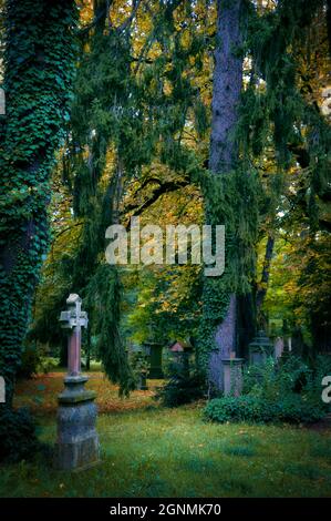 Vecchio cimitero Friedhof Ravensburg e Friburgo Germania Foto Stock