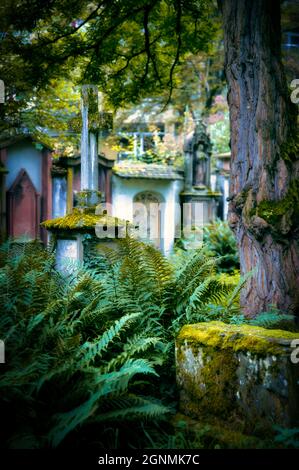 Vecchio cimitero Friedhof Ravensburg e Friburgo Germania Foto Stock