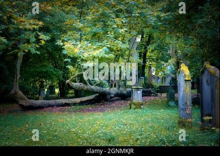 Vecchio cimitero Friedhof Ravensburg e Friburgo Germania Foto Stock