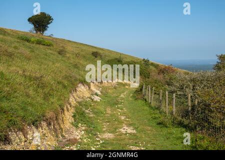 Percorso indossato nel gesso sulle South Downs. Willingdon, vicino a Eastbourne, E. Sussex, Regno Unito. Foto Stock