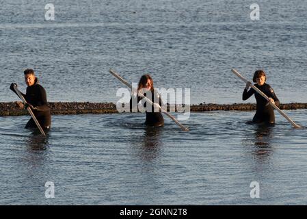 Performance artistica nell'estuario del Tamigi da parte degli Arbonauti al crepuscolo per illustrare l'emergenza climatica, chiamata LIMO, per il Festival estuario 2021. Mare Foto Stock