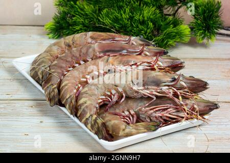 Gamberi giganti freschi in un vassoio bianco gamberi tigre ampiamente allevati per il mercato. Punti di messa a fuoco selettivi Foto Stock