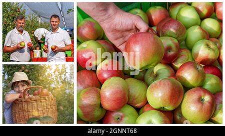 Agricoltura e produzione alimentare sana. Carismatico coltivatore maturo e suo Figlio guardando la macchina fotografica. Sorridendo la bambina in un cappello di paglia con un cestino di rosso Foto Stock