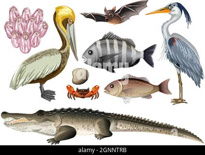 Modello senza giunture con illustrazione di animali della foresta di mangrovie Illustrazione Vettoriale
