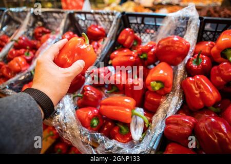 uomo che tiene il peperone rosso dolce nel negozio di alimentari Foto Stock