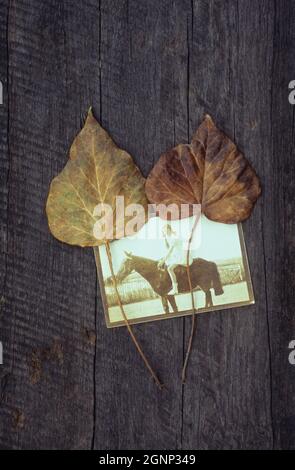 Seppia 1920 foto di ragazza seduta su cavallo giacente su legno vecchio con due foglie di Ivy marrone essiccato o Hedera Helix Foto Stock