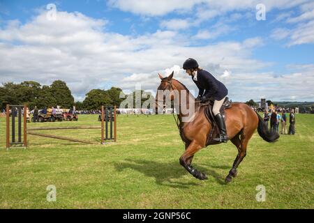 Show jumping, Bellingham Show, Bellingham, Northumberland, Regno Unito Foto Stock