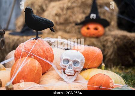 Mazzo di zucche arancioni per Halloween, cranio bianco grande, corvo nero, cappello wizard, jack-o-lanterna con occhi spaventosi scolpiti, mouth.Hay, haystack in fienile.Str Foto Stock