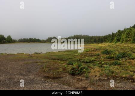 Lagoa Rasa, Isola di Sao Miguel, Azzorre Foto Stock